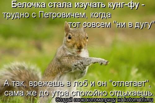 Котоматрица: Белочка стала изучать кунг-фу - трудно с Петровичем, когда тот совсем "ни в дугу". А так, врежешь в лоб и он "отлетает", сама же до утра спокойно 