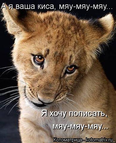 А я ваша киса, мяу-мяу-мяу... Я хочу пописать, мяу-мяу-мяу...... Котоматрица: А я ваша киса, мяу-мяу-мяу... Я хочу пописать, мяу-мяу-мяу...