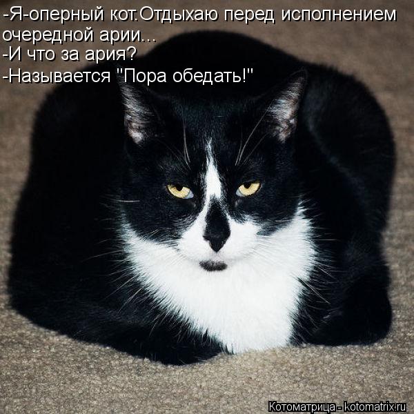 -Я-оперный кот.Отдыхаю перед исполнением очередной арии... -И что за ария? -Называется "Пора обедать!... Котоматрица: -Я-оперный кот.Отдыхаю перед исполнением очередной арии... -И что за ария? -Называется "Пора обедать!"