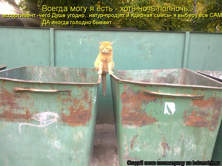 Всегда могу я есть - хоть-ночь-полночь.. ассортимент -чего Душе угодно.. натур-продукт и ядерная сме... Котоматрица: Всегда могу я есть - хоть-ночь-полночь.. ассортимент -чего Душе угодно.. натур-продукт и ядерная смесь- я выберу все САМ... ДА иногда голодно б