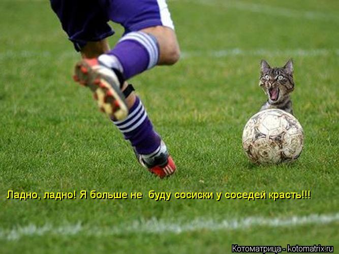 Котоматрица: Ладно, ладно! Я больше не  буду сосиски у соседей красть!!!