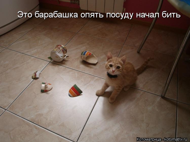 Это барабашка опять посуду начал бить... Котоматрица: Это барабашка опять посуду начал бить