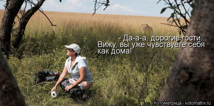 Котоматрица: - Да-а-а, дорогие гости... Вижу, вы уже чувствуете себя  как дома!