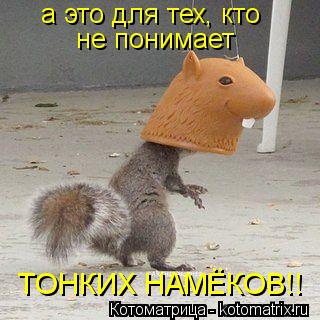 Котоматрица: а это для тех, кто не понимает ТОНКИХ НАМЁКОВ!!