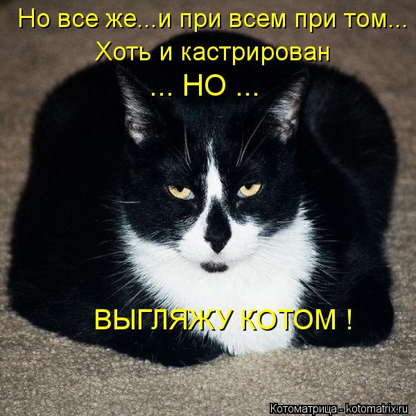 Но все же...и при всем при том... Хоть и кастрирован ... НО ... ВЫГЛЯЖУ КОТОМ !... Котоматрица: Но все же...и при всем при том... Хоть и кастрирован ... НО ... ВЫГЛЯЖУ КОТОМ !