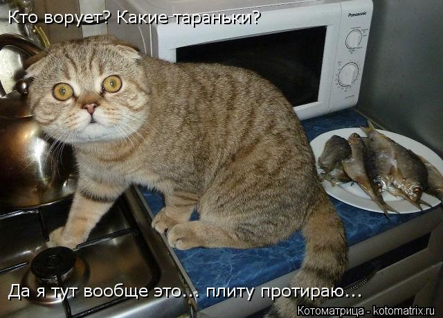 Кто ворует? Какие тараньки? Да я тут вообще это... плиту протираю...... Котоматрица: Кто ворует? Какие тараньки? Да я тут вообще это... плиту протираю...