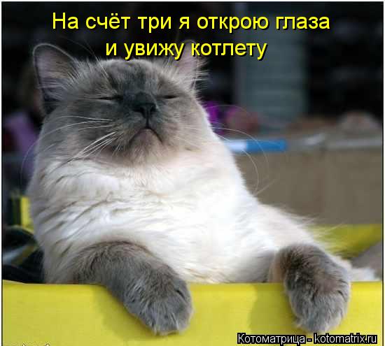 На счёт три я открою глаза и увижу котлету... Котоматрица: На счёт три я открою глаза и увижу котлету