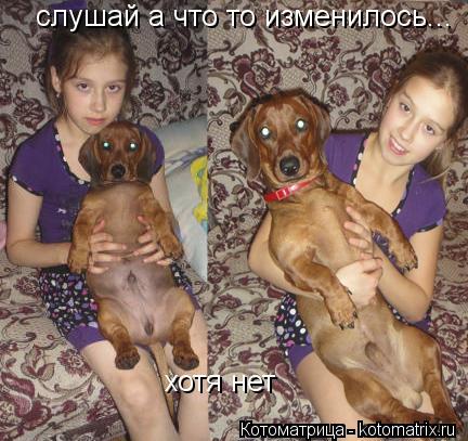слушай а что то изменилось... хотя нет... Котоматрица: слушай а что то изменилось... хотя нет