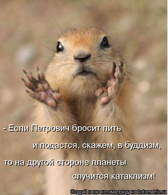 случится катаклизм! - Если Петрович бросит пить и подастся, скажем, в буддизм, то на другой сторо... Котоматрица: случится катаклизм! - Если Петрович бросит пить и подастся, скажем, в буддизм, то на другой стороне планеты