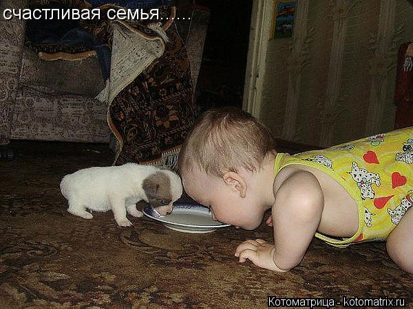 счастливая семья......... Котоматрица: счастливая семья......