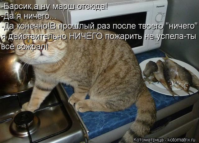 -Барсик,а ну марш отсюда! -Да я ничего... -Да конечно!В прошлый раз после твоего "ничего" я действите... Котоматрица: -Барсик,а ну марш отсюда! -Да я ничего... -Да конечно!В прошлый раз после твоего "ничего" я действительно НИЧЕГО пожарить не успела-ты всё сожра