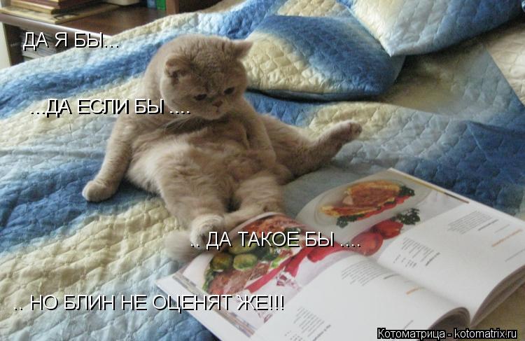 ДА Я БЫ... ...ДА ЕСЛИ БЫ .... ...ДА ЕСЛИ БЫ .... .. ДА ТАКОЕ БЫ .... .. НО БЛИН НЕ ОЦЕНЯТ ЖЕ!!!... Котоматрица: ДА Я БЫ... ...ДА ЕСЛИ БЫ .... ...ДА ЕСЛИ БЫ .... .. ДА ТАКОЕ БЫ .... .. НО БЛИН НЕ ОЦЕНЯТ ЖЕ!!!