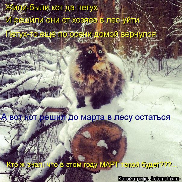 Жили-были кот да петух И решили они от хозяев в лес уйти Петух-то ещё по осени домой вернулся А вот к... Котоматрица: Жили-были кот да петух И решили они от хозяев в лес уйти Петух-то ещё по осени домой вернулся А вот кот решил до марта в лесу остаться Кто ж зн