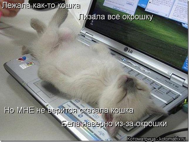 Котоматрица: Лежала как-то кошка Лизала всё окрошку Но МНЕ не верится сказала кошка Бела наверно из-за окрошки