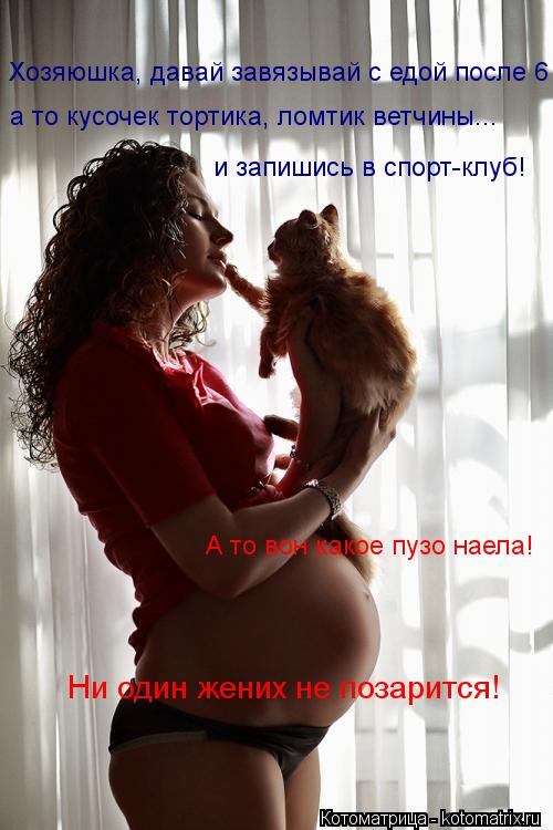 Хозяюшка, давай завязывай с едой после 6 а то кусочек тортика, ломтик ветчины... и запишись в спорт-к... Котоматрица: Хозяюшка, давай завязывай с едой после 6 а то кусочек тортика, ломтик ветчины... и запишись в спорт-клуб! А то вон какое пузо наела! Ни один жен