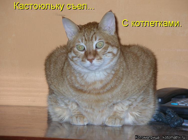 Кастоюльку съел... С котлетками.... Котоматрица: Кастоюльку съел... С котлетками.