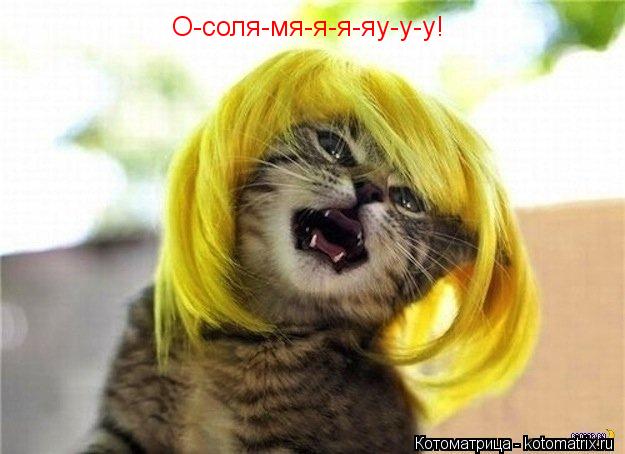 Котоматрица: О-соля-мя-я-я-яу-у-у!