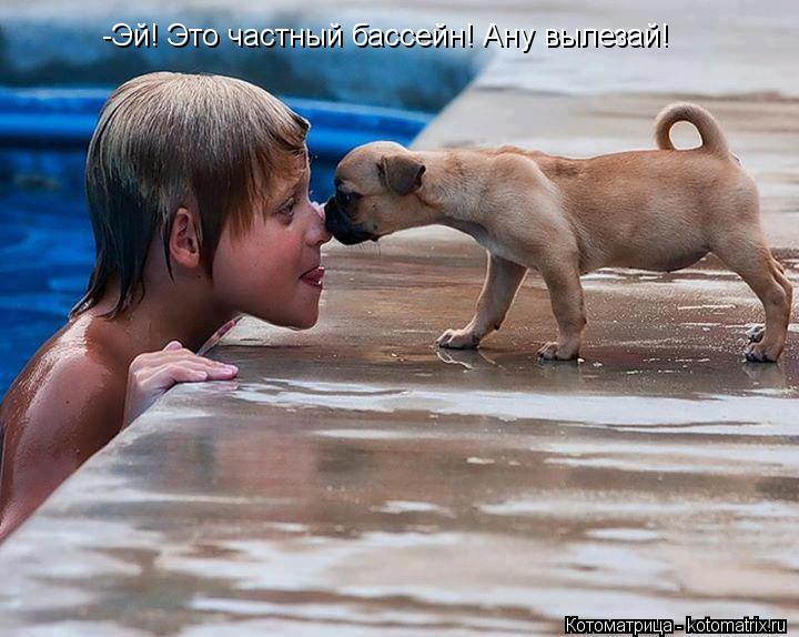 -Эй! Это частный бассейн! Ану вылезай!... Котоматрица: -Эй! Это частный бассейн! Ану вылезай!