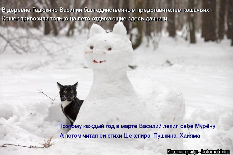 В деревне Гадюкино Василий был единственным представителем кошачьих Кошек привозили только на лето от... Котоматрица: В деревне Гадюкино Василий был единственным представителем кошачьих Кошек привозили только на лето отдыхающие здесь дачники Поэтому кажд