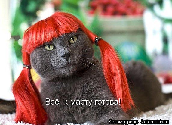 Всё, к марту готова!... Котоматрица: Всё, к марту готова!