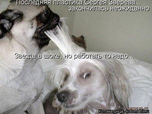 Последняя пластика Сергея Зверева... закончилась неожиданно Звезда в шоке, но работать то надо...... Котоматрица: Последняя пластика Сергея Зверева... закончилась неожиданно Звезда в шоке, но работать то надо...