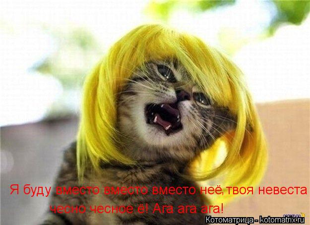 Я буду вместо вместо вместо неё твоя невеста чесно чесное ё! Ага ага ага! ,... Котоматрица: Я буду вместо вместо вместо неё твоя невеста чесно чесное ё! Ага ага ага! ,