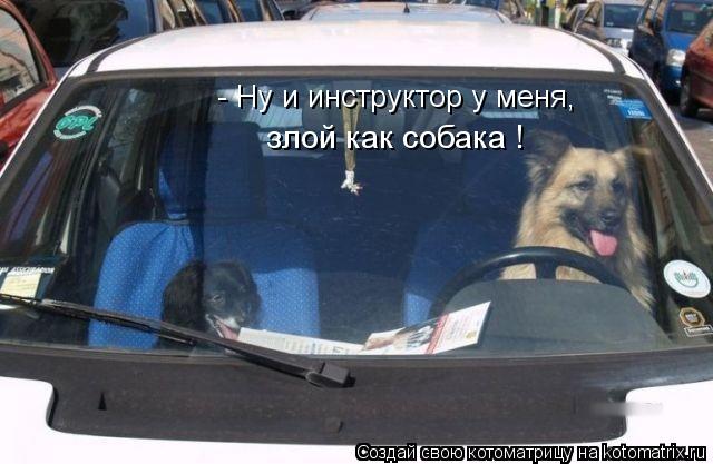 - Ну и инструктор у меня, злой как собака !... Котоматрица: - Ну и инструктор у меня, злой как собака !