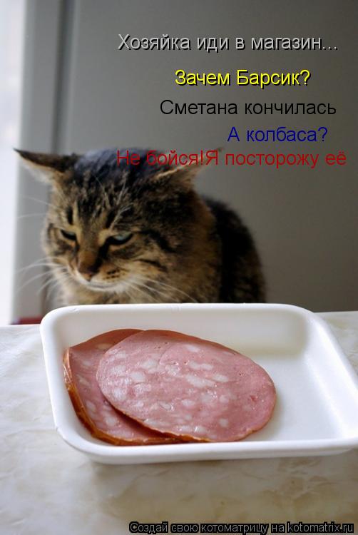 Хозяйка иди в магазин... Зачем Барсик? Сметана кончилась А колбаса? Не бойся!Я посторожу её... Котоматрица: Хозяйка иди в магазин... Зачем Барсик? Сметана кончилась А колбаса? Не бойся!Я посторожу её