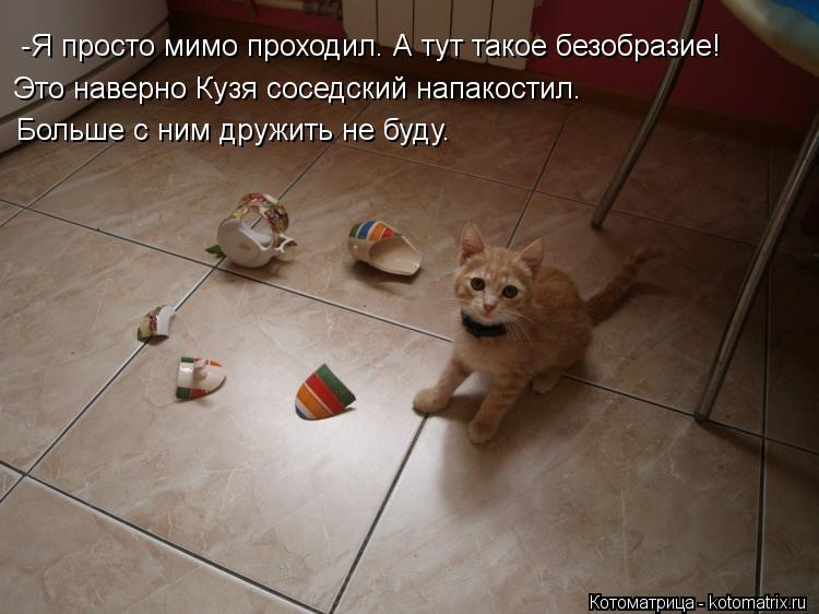 -Я просто мимо проходил. А тут такое безобразие! Это наверно Кузя соседский напакостил. Больше с ним... Котоматрица: -Я просто мимо проходил. А тут такое безобразие! Это наверно Кузя соседский напакостил. Больше с ним дружить не буду.