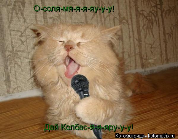 О-соля-мя-я-я-яу-у-у! Дай Колбас-я-я-яру-у-у!... Котоматрица: О-соля-мя-я-я-яу-у-у! Дай Колбас-я-я-яру-у-у!