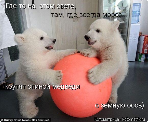 Где то на этом свете, там, где всегда мороз... крутят спиной медведи о земную оось)... Котоматрица: Где то на этом свете, там, где всегда мороз... крутят спиной медведи о земную оось)