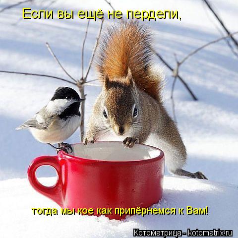 тогда мы кое как припёрнемся к Вам! Если вы ещё не пердели,... Котоматрица: тогда мы кое как припёрнемся к Вам! Если вы ещё не пердели,