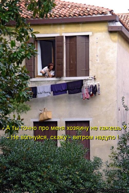 - А ты точно про меня хозяину не кажешь ? - Не волнуйся, скажу - ветром надуло !... Котоматрица: - А ты точно про меня хозяину не кажешь ? - Не волнуйся, скажу - ветром надуло !