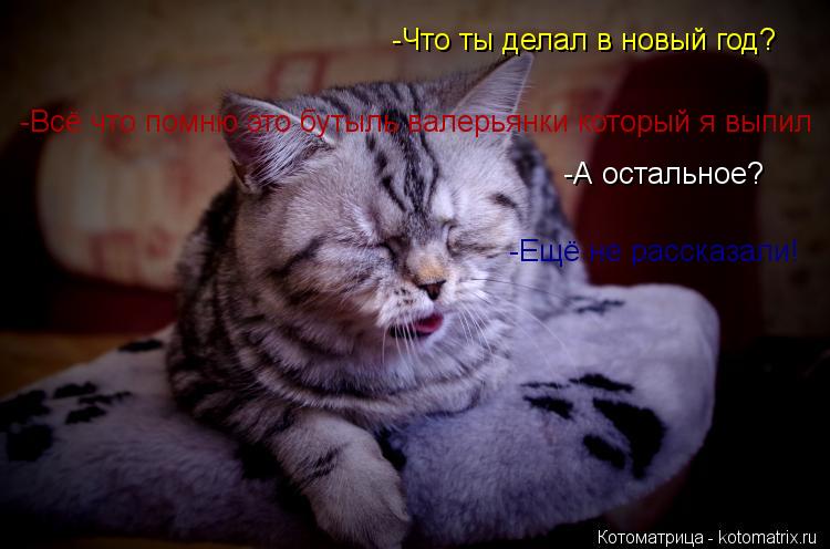 -Что ты делал в новый год? -Всё что помню это бутыль валерьянки который я выпил -А остальное? -Ещё не... Котоматрица: -Что ты делал в новый год? -Всё что помню это бутыль валерьянки который я выпил -А остальное? -Ещё не рассказали!
