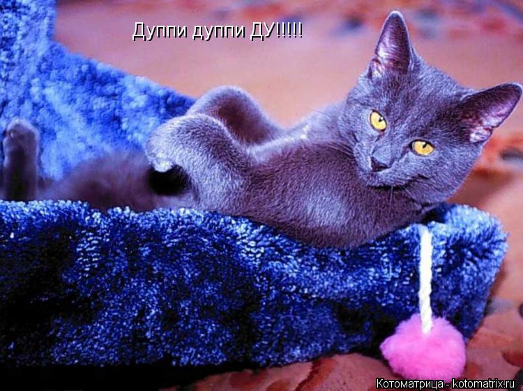 Котоматрица: Дуппи дуппи ДУ!!!!!