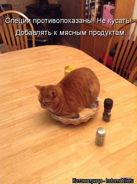 Котоматрица: Специи противопоказаны! Не кусать! Добавлять к мясным продуктам.