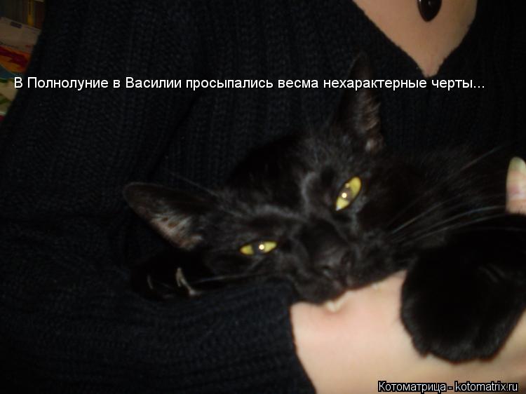 В Полнолуние в Василии просыпались весма нехарактерные черты...... Котоматрица: В Полнолуние в Василии просыпались весма нехарактерные черты...