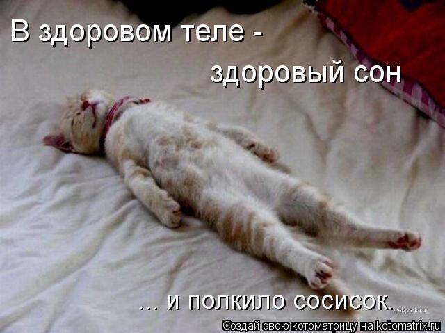 В здоровом теле - здоровый сон ... и полкило сосисок.... Котоматрица: В здоровом теле - здоровый сон ... и полкило сосисок.