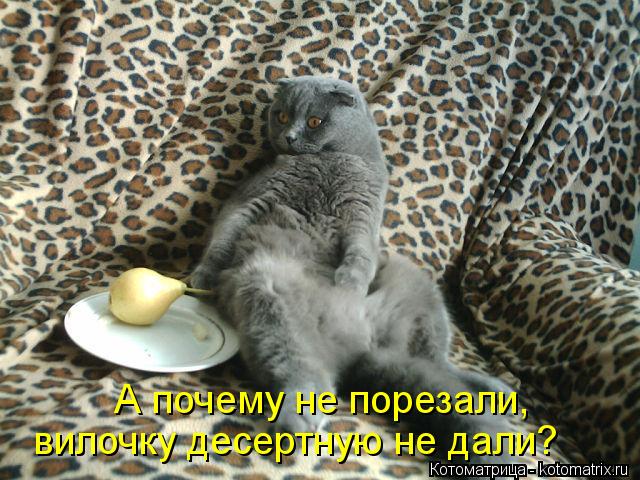 А почему не порезали, вилочку десертную не дали?... Котоматрица: А почему не порезали, вилочку десертную не дали?
