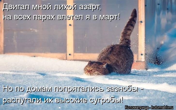 Двигал мной лихой азарт, на всех парах влетел я в март! Но по домам попрятались зазнобы - распугали и... Котоматрица: Двигал мной лихой азарт, на всех парах влетел я в март! Но по домам попрятались зазнобы - распугали их высокие сугробы!