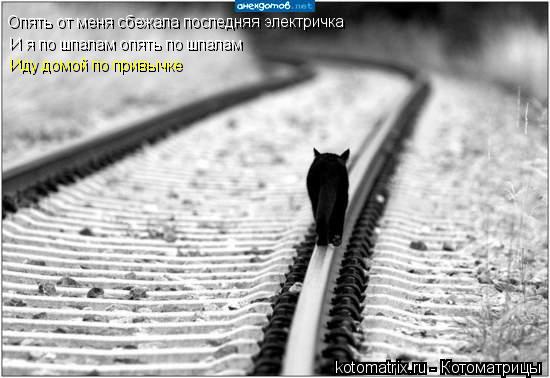 Опять от меня сбежала последняя электричка И я по шпалам опять по шпалам Иду домой по привычке... Котоматрица: Опять от меня сбежала последняя электричка И я по шпалам опять по шпалам Иду домой по привычке