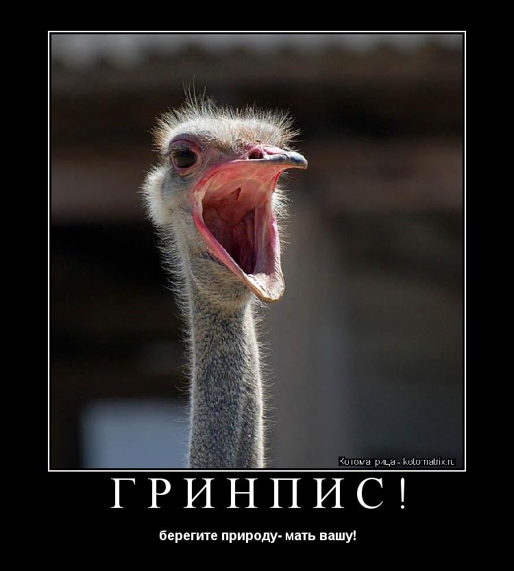 ГРИНПИС! берегите природу- мать вашу!... Котоматрица: ГРИНПИС! берегите природу- мать вашу!