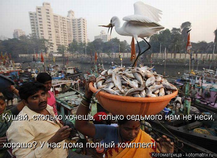 Кушай, сколько хочешь, только седьмого нам не неси, хорошо? У нас дома полный комплект!... Котоматрица: Кушай, сколько хочешь, только седьмого нам не неси, хорошо? У нас дома полный комплект!