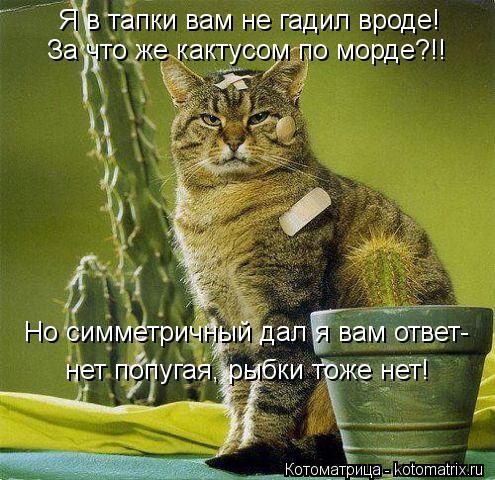 Я в тапки вам не гадил вроде! За что же кактусом по морде?!! нет попугая, рыбки тоже нет! Но симметри... Котоматрица: Я в тапки вам не гадил вроде! За что же кактусом по морде?!! нет попугая, рыбки тоже нет! Но симметричный дал я вам ответ-