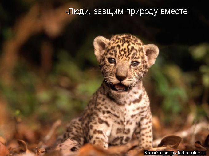 -Люди, завщим природу вместе!... Котоматрица: -Люди, завщим природу вместе!