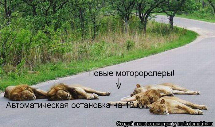 Новые мотороролеры! | V Автоматическая остановка на 10 км... Котоматрица: Новые мотороролеры! | V Автоматическая остановка на 10 км