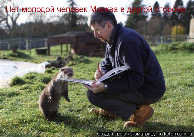 Нет молодой человек Москва в другой стороне... Котоматрица: Нет молодой человек Москва в другой стороне