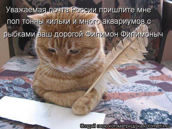 Уважаемая почта России пришлите мне пол тонны кильки и много аквариумов с рыбками ваш дорогой Филимон... Котоматрица: Уважаемая почта России пришлите мне пол тонны кильки и много аквариумов с рыбками ваш дорогой Филимон Филимоныч