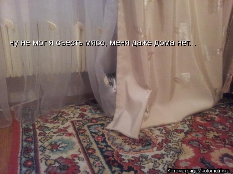 ну не мог я съесть мясо, меня даже дома нет...... Котоматрица: ну не мог я съесть мясо, меня даже дома нет...