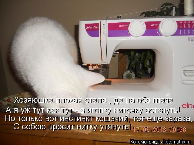 А я уж тут как тут - в иголку ниточку воткнуть! Но только вот инстинкт кошачий, тот еще зараза, С со... Котоматрица: А я уж тут как тут - в иголку ниточку воткнуть! Но только вот инстинкт кошачий, тот еще зараза, С собою просит нитку утянуть! Хозяюшка плохая